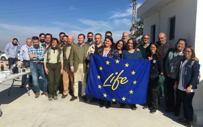 Presentamos el proyecto LIFE Cerceta Pardilla en Andalucía