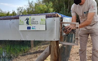 Finalizamos el primer año de proyecto con importantes avances