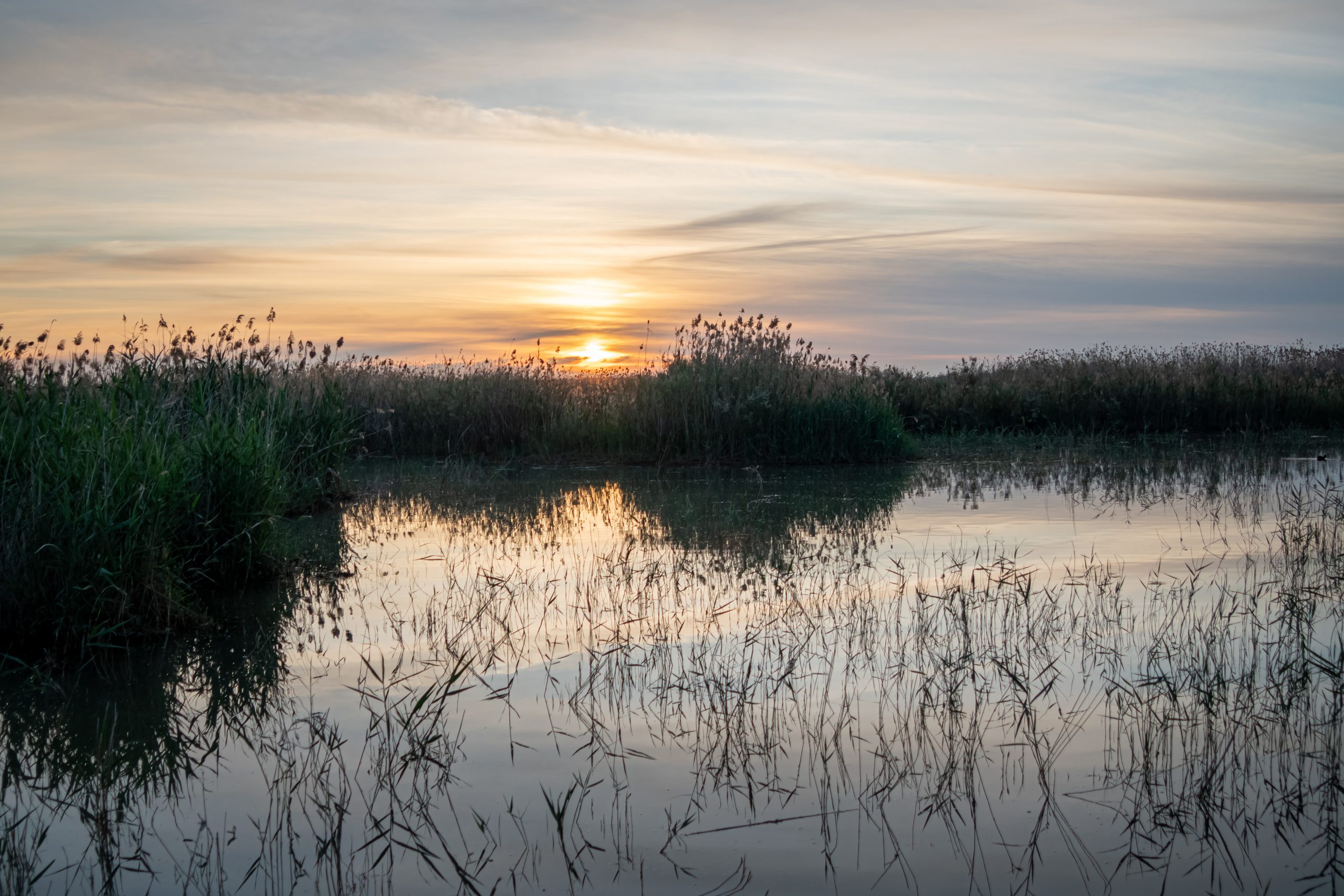 Atardecer en el Parque Natural de El Hondo (Alicante)