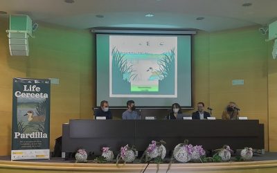 Presentamos el proyecto LIFE Cerceta Pardilla en la Región de Murcia