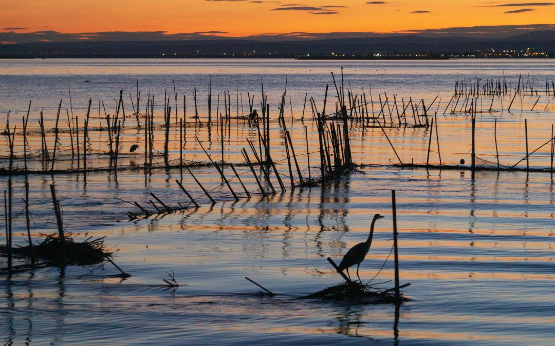 Celebrating the 30th anniversary of the Natura 2000 Network