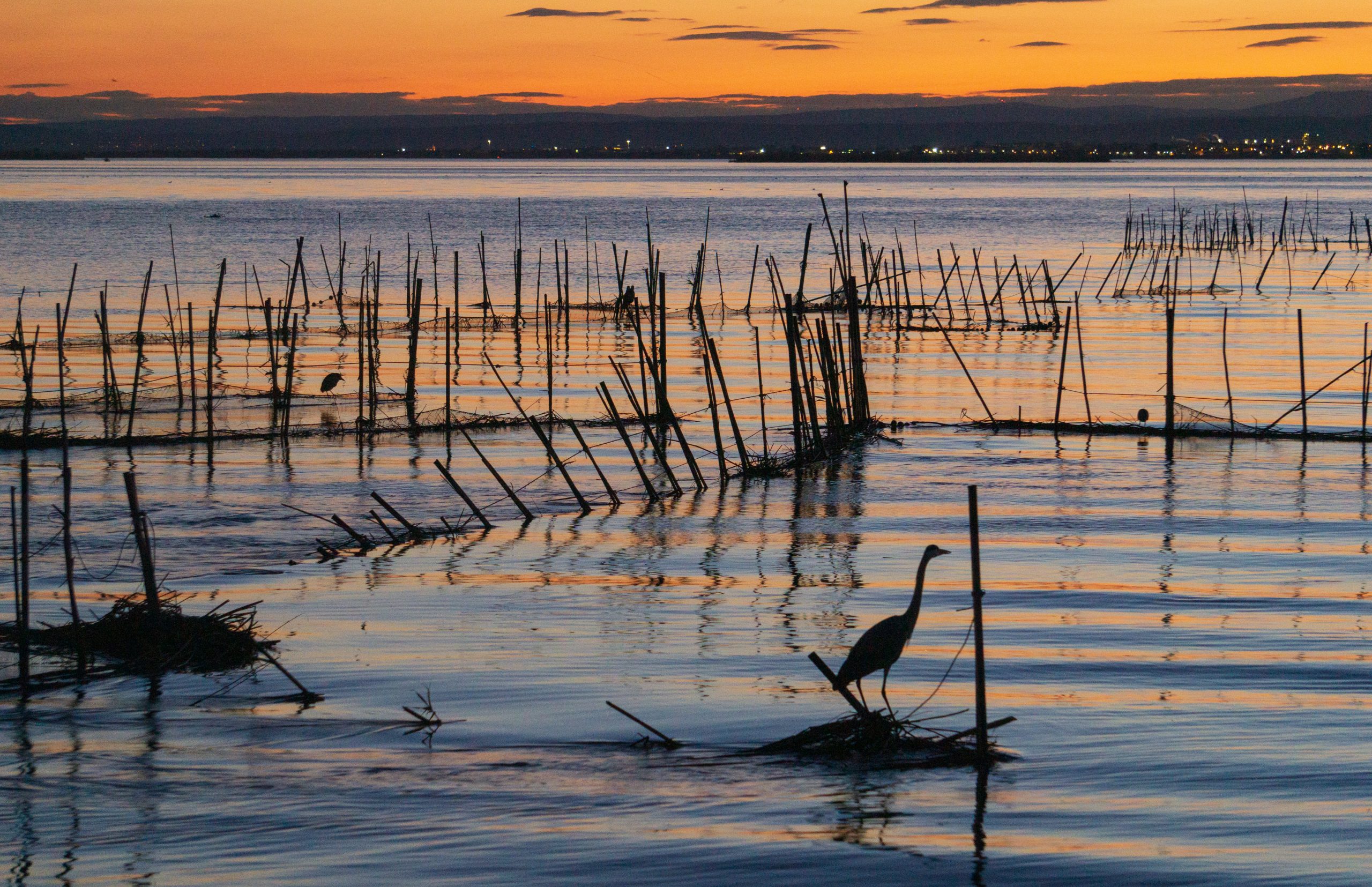 REFLECTIONS IN THE EVENING OVER THE LAKE OF LA ALBUFERA OF VALENCIA