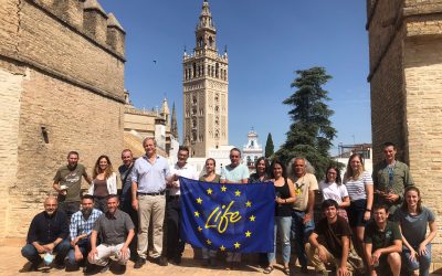 Balance de las acciones puestas en marcha en el LIFE Cerceta Pardilla con motivo de la visita de seguimiento de la Comisión Europea