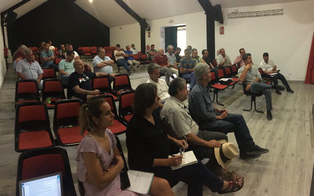 We organised two conferences with the hunting sector in the Marismas del Guadalquivir on the conservation of the marbled teal