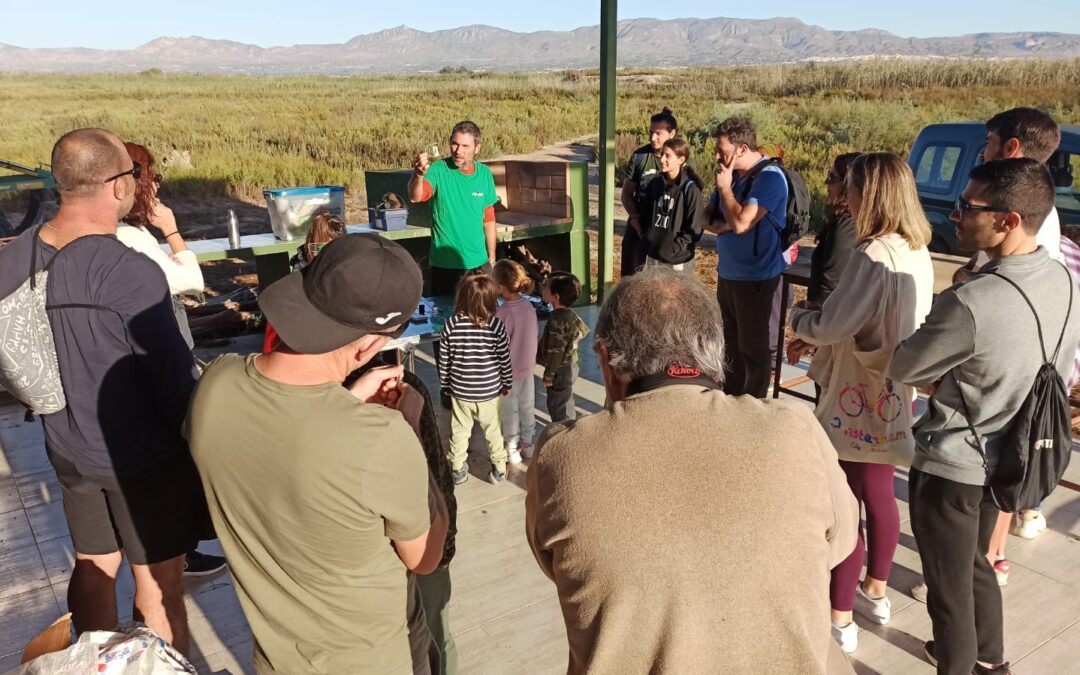 Celebrating Bird Day with the marbled teal in El Hondo Natural Park