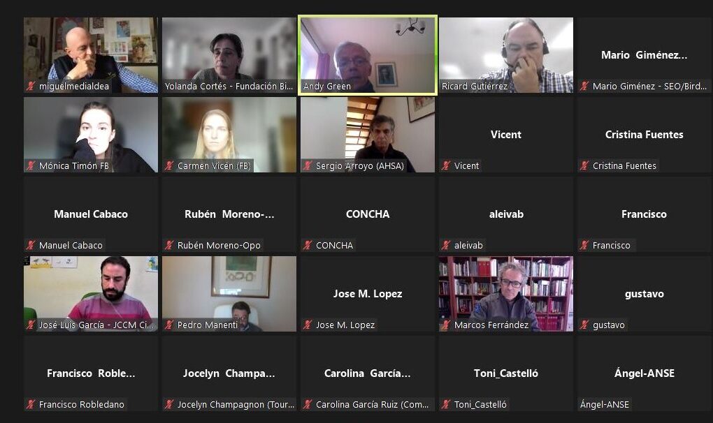 Asistentes a la segunda reunión del comité asesor, celebrada de manera virtual.