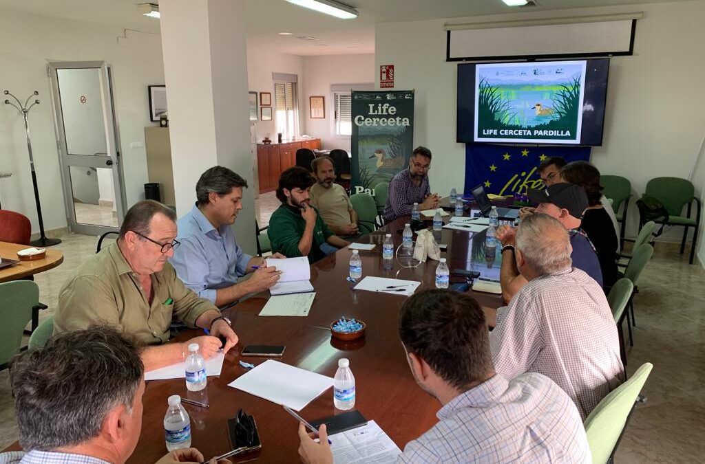 We organise two conferences with the rice sector and the administrations involved in the conservation of the marbled teal in the Guadalquivir Marshes
