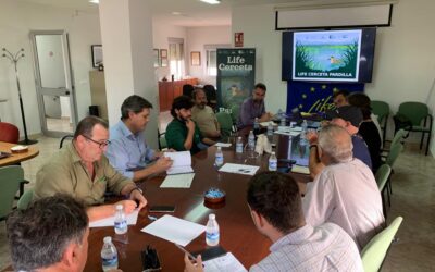 Organizamos dos jornadas con el sector arrocero y administraciones implicadas en la conservación de la cerceta pardilla en las Marismas del Guadalquivir