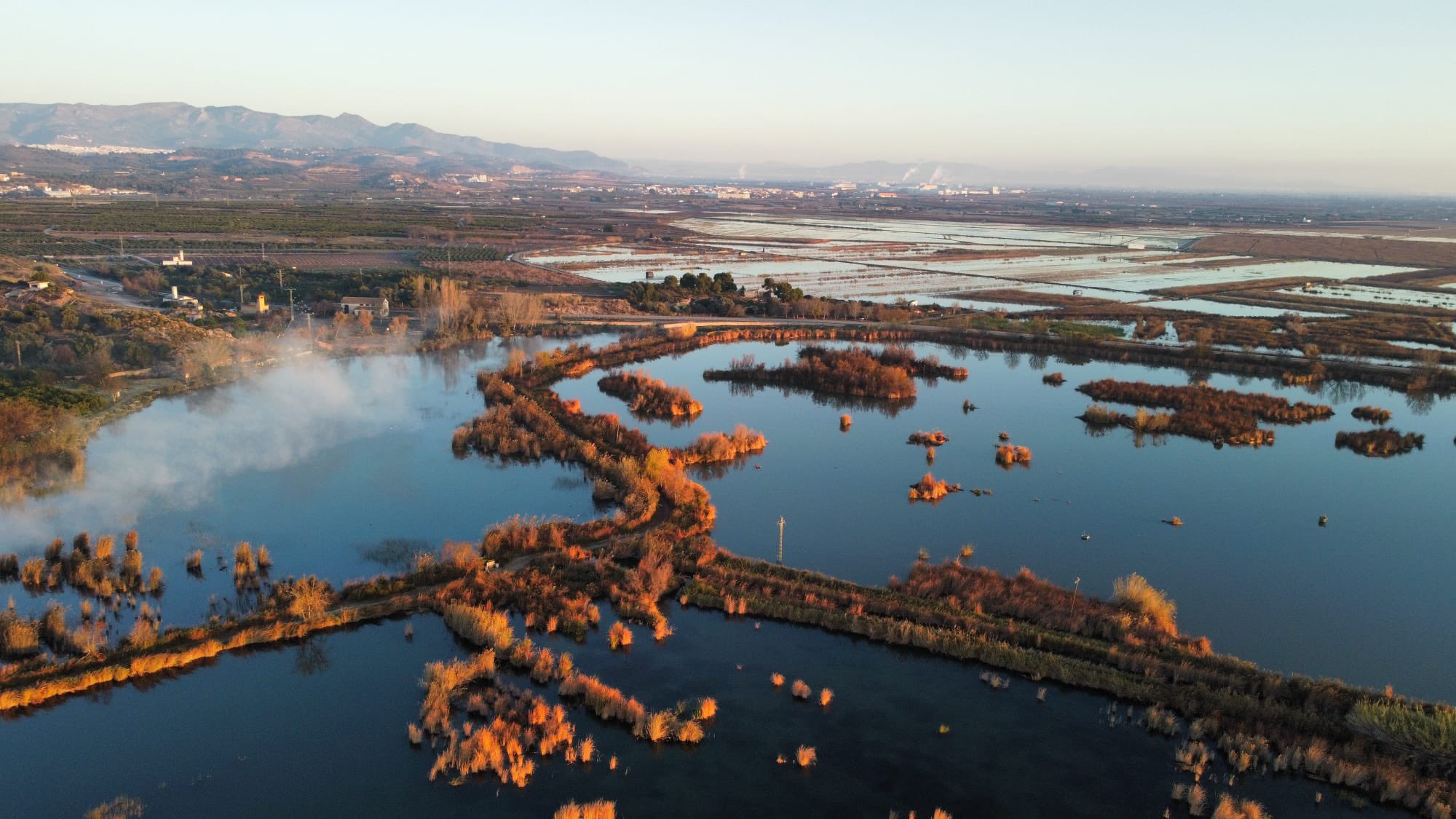Marjal de Almenara, en Castellón. Autor: Josué Saez. Marjal de Almenara, en Castellón. Autor: Josué Saez.