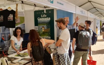 Participamos en el ‘Delta Birding Festival’