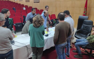 Organizamos un taller de intercambio de experiencias y coordinación entre España y países del norte de África para el seguimiento de la cerceta pardilla