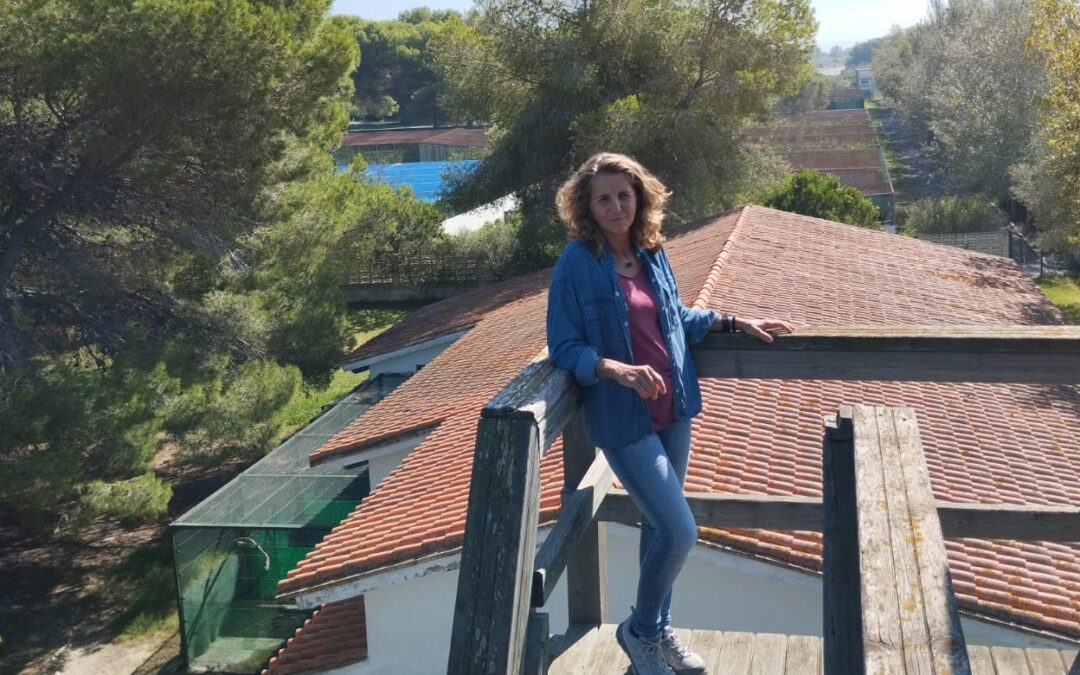 «La cría en cautividad es una herramienta de conservación para especies en peligro de extinción o extintas que no pueden recuperarse de forma natural»