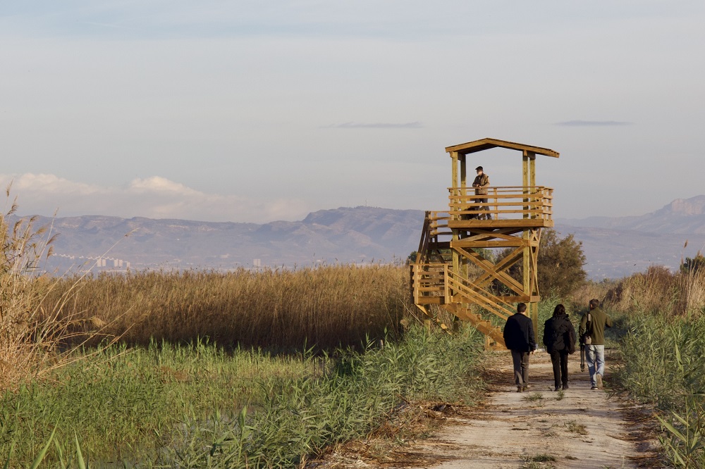 Torre observación en el Parque Natural El Hondo. Foto: Fundación Estrella de Levante.