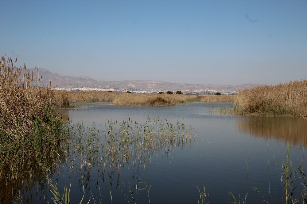 El Espigar humedal