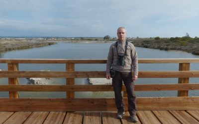 “La población italiana de la especie ha recibido un impulso notable gracias a las sueltas de ejemplares procedentes de España”