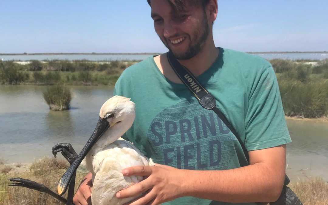 “El Paraje Natural Brazo del Este es un humedal de extrema trascendencia para la conservación de la cerceta pardilla”