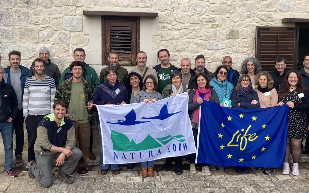 The second workshop for the exchange of experiences for the conservation of the marbled teal in the Mediterranean arc was held in Sicily