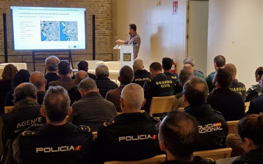 Celebramos una jornada para frenar la caza furtiva de aves acuáticas en la marisma del Guadalquivir