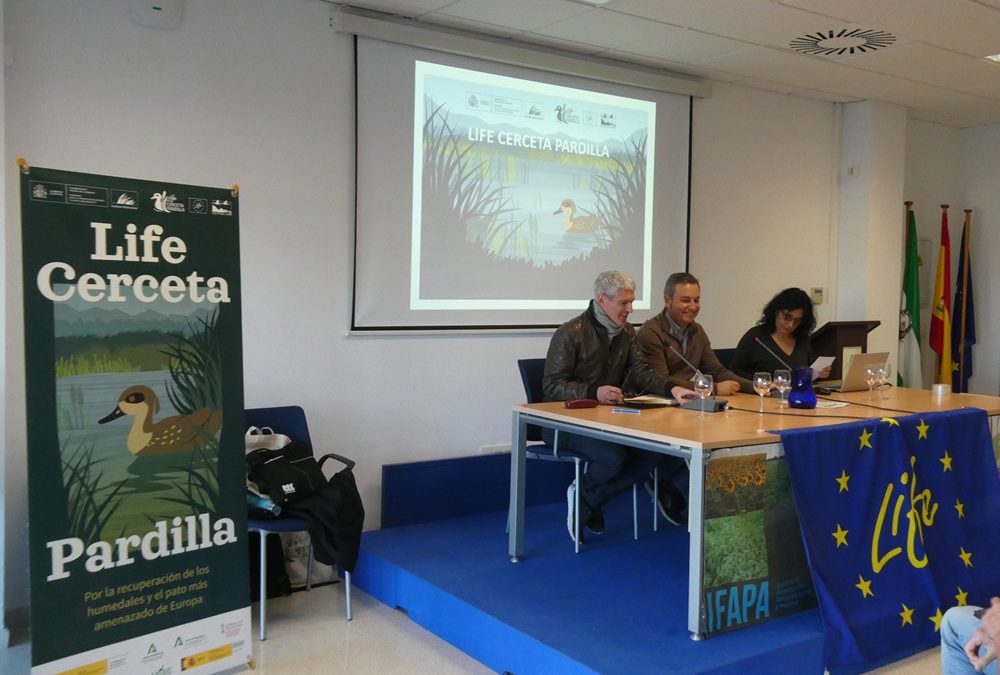 Andalucía celebra una jornada técnica de balance del proyecto LIFE Cerceta Pardilla en la región