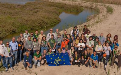 La restauración de más de 3.600 hectáreas de humedales ha contribuido a la recuperación y mejora de la cerceta pardilla en España