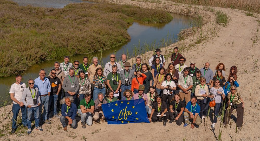 foto Elche 400 reducida