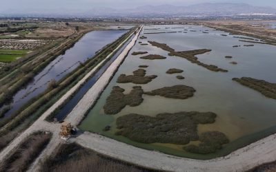 Restoration work at La Raja Lagoons in El Hondo Natural Park, Elche, have been completed